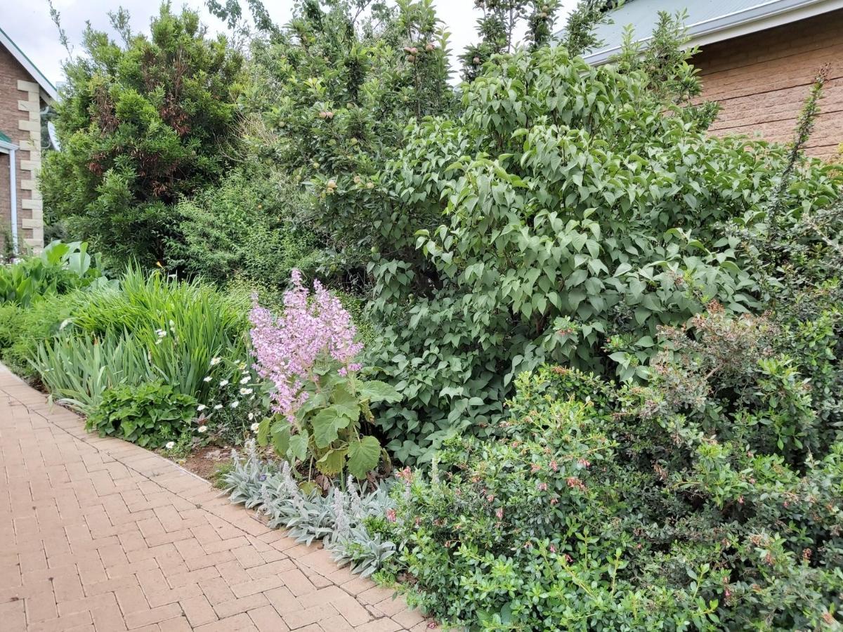 Clarens Mountain Sage Holiday House Екстер'єр фото